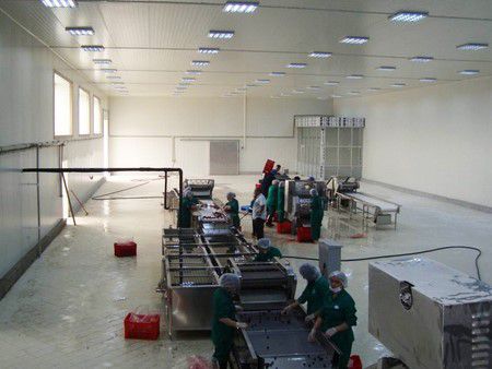 Оборудование для заморозки клубники, черники и других фруктов IQF в Азербайджане 