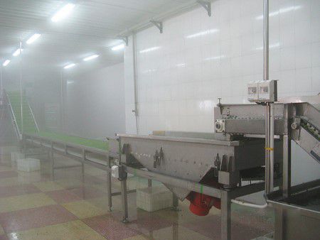 Линия по производству вакуумной сублимационной сушки соевых бобов в Алжире