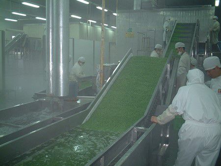 Линия по производству вакуумной сублимационной сушки Shanghai Maling
