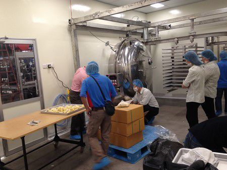 Линия по производству вакуумной сублимационной сушки малайзийского дуриана 